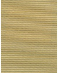 Elza WDW2342 WT Spun Silk by  Bailey and Griffin 