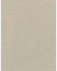 Camille WDW2349 WT Cottonwood by  Bailey and Griffin 