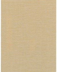 Camille WDW2353 WT Cream by  Bailey and Griffin 