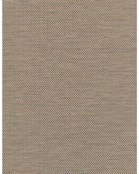 Camille WDW2357 WT Maple by  Bailey and Griffin 