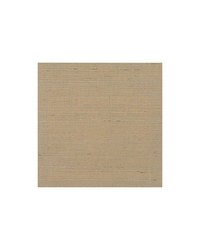 Distinctive Sisals WDW2401 WT Acorn by  Bailey and Griffin 