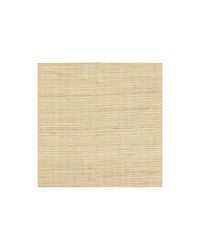 Distinctive Sisals WDW2402 WT Cameo by  Bailey and Griffin 