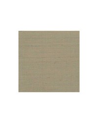 Distinctive Sisals WDW2404 WT Sage by  Bailey and Griffin 