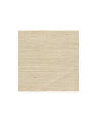 Distinctive Sisals WDW2410 WT Canvas by  Bailey and Griffin 