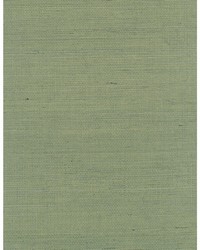 Distinctive Sisals WDW2412 WT Cactus by   