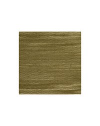 Distinctive Sisals WDW2413 WT Moss by   