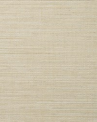 Kimit WFT1602 WT Birch by   