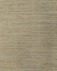 Kimit WFT1607 WT Husk by   