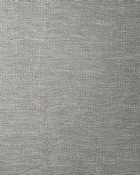 Burch WFT1734 WT Graphite by   