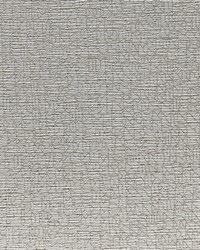 Radiate WHF1526 WT Powder by   