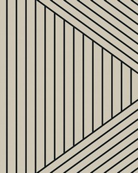 Concourse WHF1965 WT Shell by   