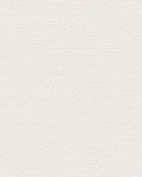 Radius WHF2004 WT Nimbus by   