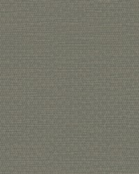 ARCHETYPE WHF3105 STORM by   