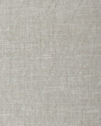 ARCHETYPE WHF3111 TARNISH by  Michaels Textiles 