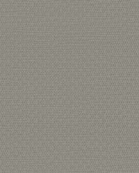 ARCHETYPE WHF3111 TARNISH by   