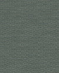 ARCHETYPE WHF3115 BAY by   