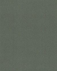 Varola WHF4058 WT Juniper by   