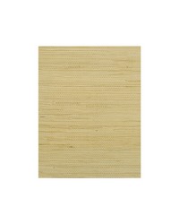 MONTEGO WIW2501 WT VANILLA by  Winfield Thybony Design 