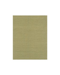 BERMUDA WIW2519 WT CELADON by  Winfield Thybony Design 