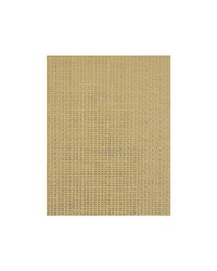 PLAYA WIW2554 WT STRAW by  Winfield Thybony Design 