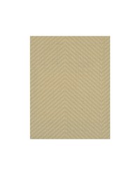 HAMILTON WIW2574 WT SHELL by  Winfield Thybony Design 