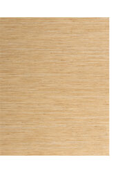 STRIA WNK7158 WT HAY by  Winfield Thybony Design 