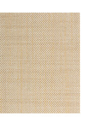 INTRECCIA WNK7221 WT RAFFIA by  Winfield Thybony Design 