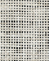 BONSAI WEAVE WNR1119 WT by  Winfield Thybony Design 