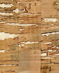 GAUDI WNR1122 WT by  Winfield Thybony Design 