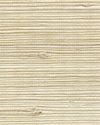 PETITE BENGALI WNR1123 WT by  Winfield Thybony Design 