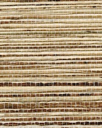 PETITE BENGALI WNR1126 WT by  Winfield Thybony Design 