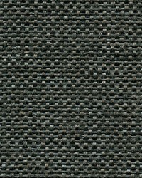 Panama Weave WNR1162P WT Licoricep by   