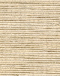 PETITE BENGALI WNR1186 WT by  Winfield Thybony Design 