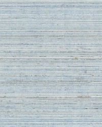 Julius WNR1213P WT Turkp by   