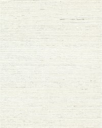 Chiyo Sisal WNR2002 WT Ivory White by  Catania Silks 