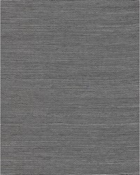 Chiyo Sisal WNR2037 WT Mink by  Catania Silks 