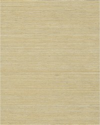 Chiyo Sisal WNR2063 WT Sand by  Catania Silks 