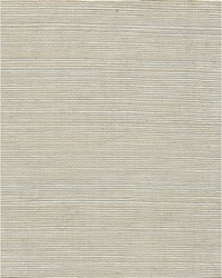Chiyo Sisal WNR2064 WT Cafe Latte by  Catania Silks 