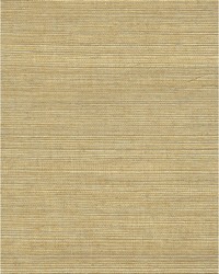 Chiyo Sisal WNR2065 WT Ochre by  Catania Silks 