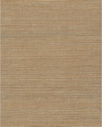 Chiyo Sisal WNR2069 WT Cafe by  Catania Silks 