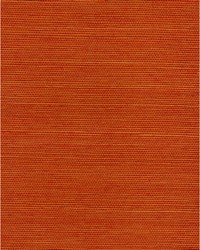 Chiyo Sisal WNR2070 WT Tangerine by  Catania Silks 