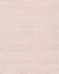 Chiyo Sisal WNR2076 WT Dusty Pink by  Catania Silks 