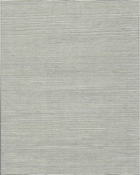 Chiyo Sisal WNR2083 WT Greige by  Catania Silks 