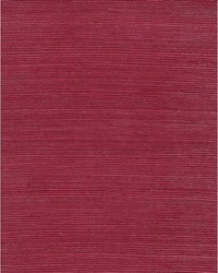 Chiyo Sisal WNR2089 WT Scarlet by  Catania Silks 