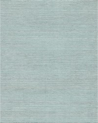 Chiyo Sisal WNR2096 WT Powder by  Catania Silks 