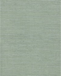 Chiyo Sisal WNR2106 WT Jade by  Catania Silks 