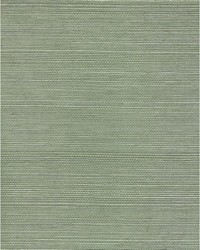 Chiyo Sisal WNR2107 WT Sprig by  Catania Silks 