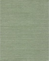 Chiyo Sisal WNR2110 WT Sage by  Catania Silks 
