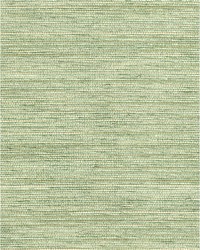 Amira Weave WNR2111 WT Sprig by   