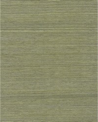 Chiyo Sisal WNR2112 WT Moss by  Catania Silks 